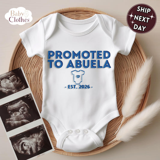 Promoted To Godmother Embroidered Baby Bodysuit, Personalized Est Year Infant One Piece, Godparent Proposal Gift, Baby Announcement Outfit